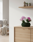 Vaso moderno – Design elegante in stile nordico