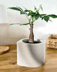 Copri vaso rigato moderno per piante – design minimal da interno