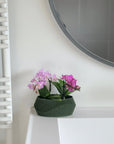 Vaso moderno  – Design elegante in stile nordico